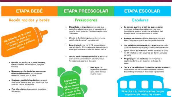 Etapas salud dental en bebés