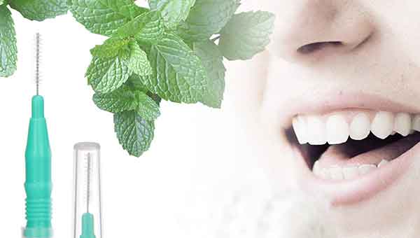 Cepillos dentales XI